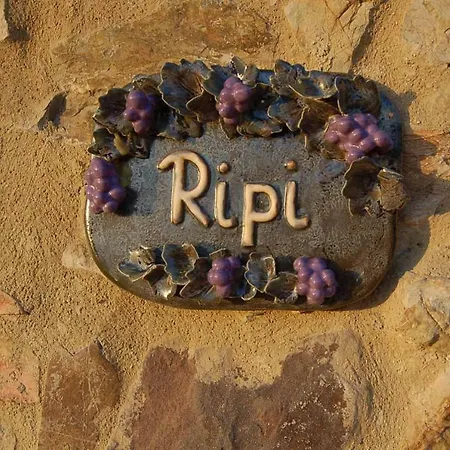 Apartamento Podere Ripi