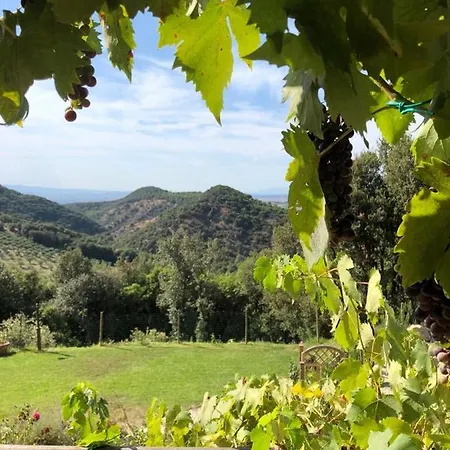 Podere Ripi *